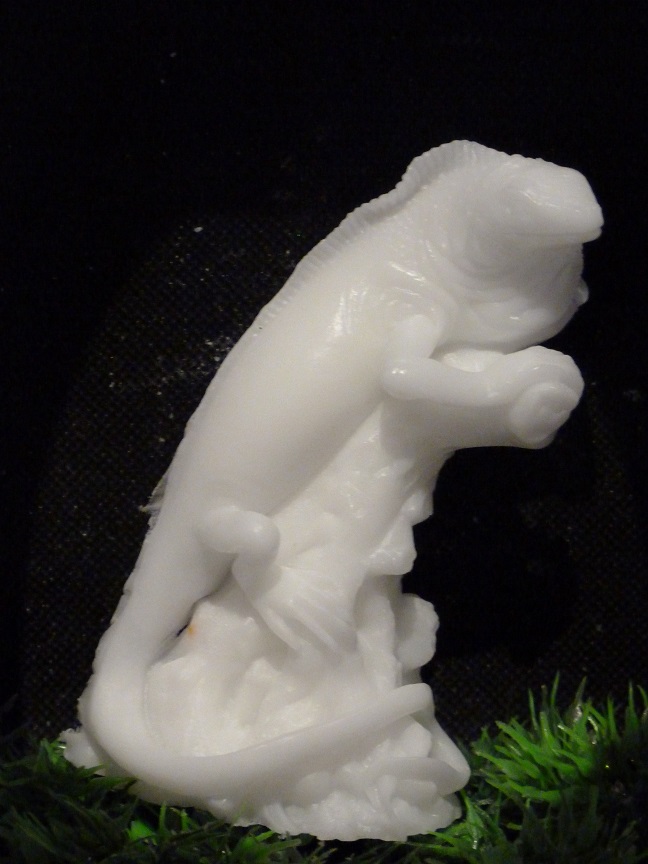 (image for) Leguaan op een Boomstam Zeepje