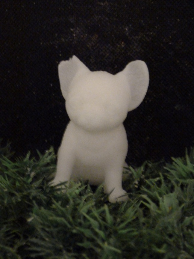 (image for) Chihuahua Zeepje Groot