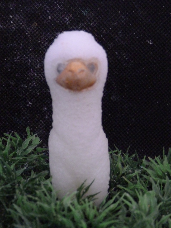 (image for) Alpaca Zeepje met Mica