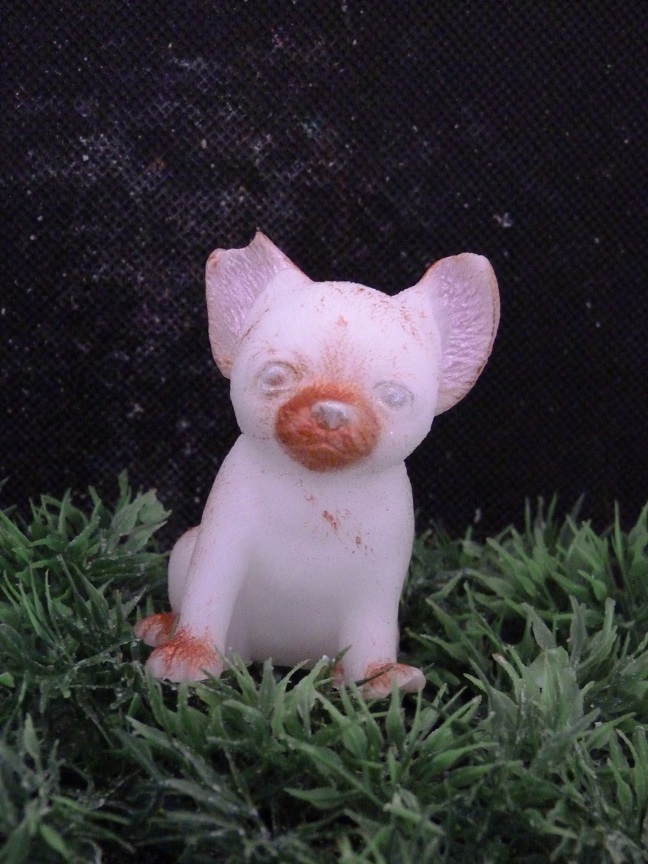 (image for) Chihuahua Zeepje met Mica Groot