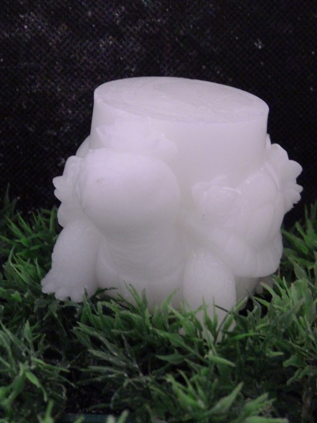 (image for) Schildpad Zeepje Nr 1