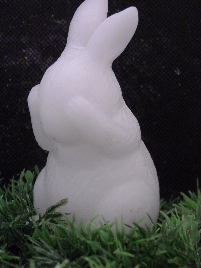 (image for) Konijn Zien Zeepje