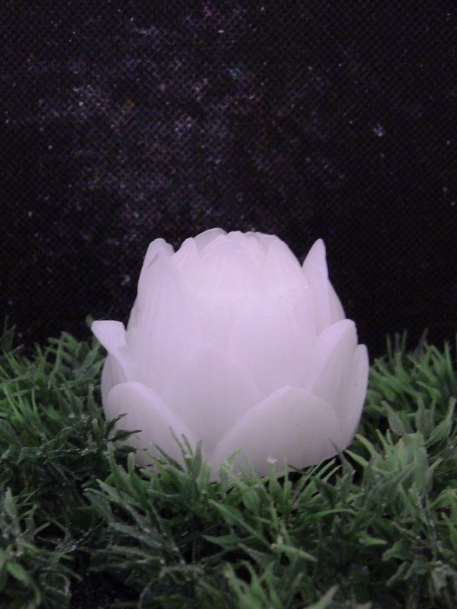 (image for) Dichte Lotus Zeepje