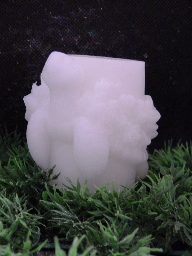 (image for) Schildpad Zeepje Nr 2