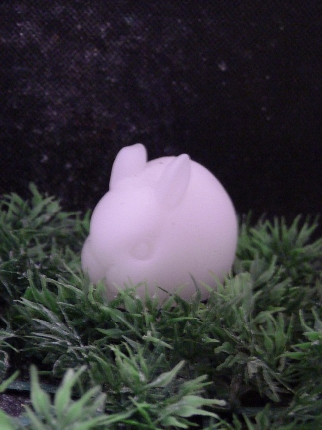 (image for) Baby Konijn Zeepje