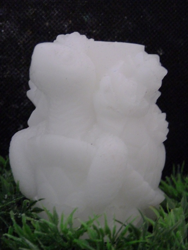 (image for) Schildpad Zeepje Nr 3