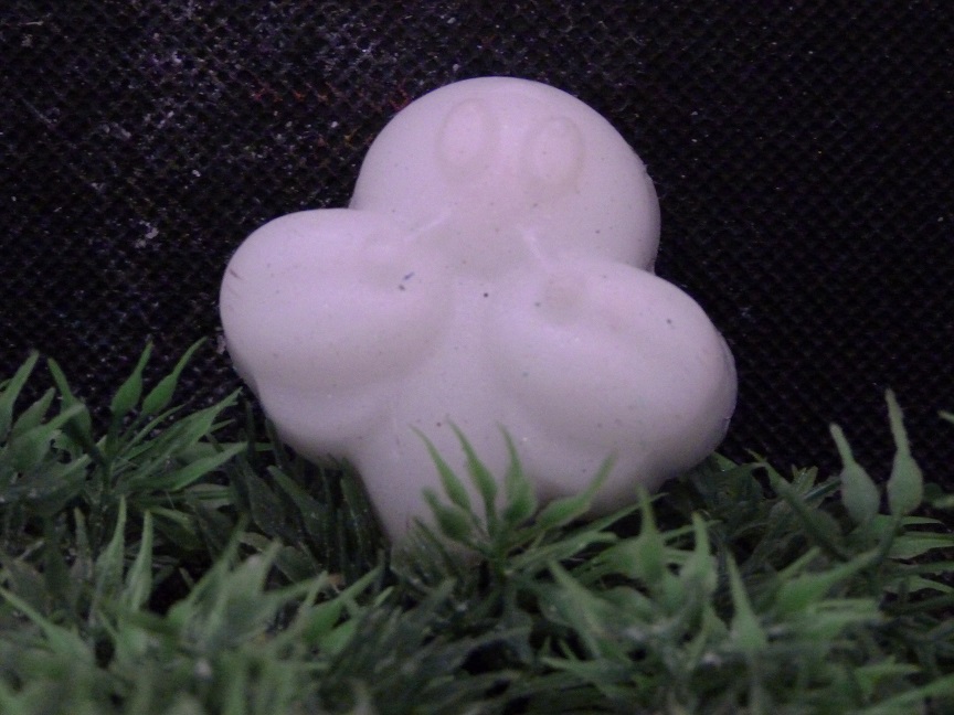 (image for) Vliegend Lieveheersbeestje Zeepje