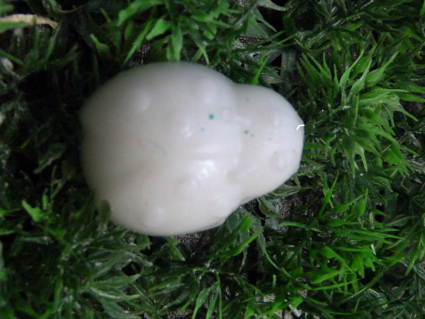 (image for) Liefheersbeestje Zeepje