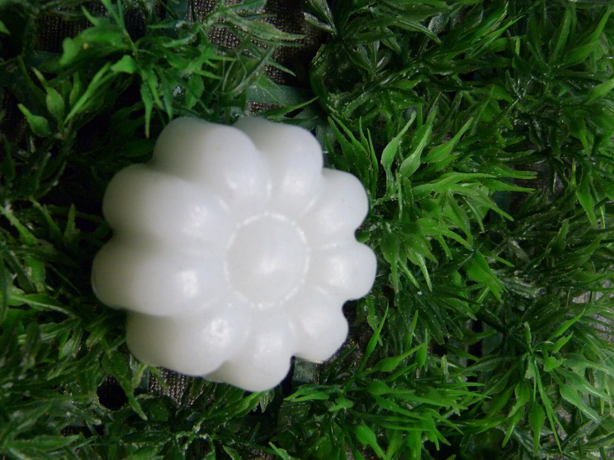 (image for) Zonnebloemetje Zeepje