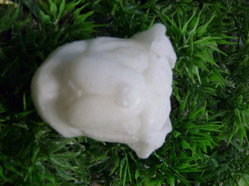 (image for) Shar-pei Zeepje Nr 2