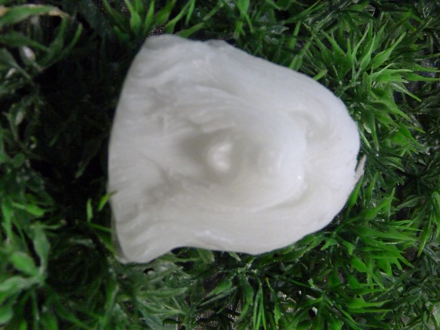 (image for) Schapendoes Zeepje Plat