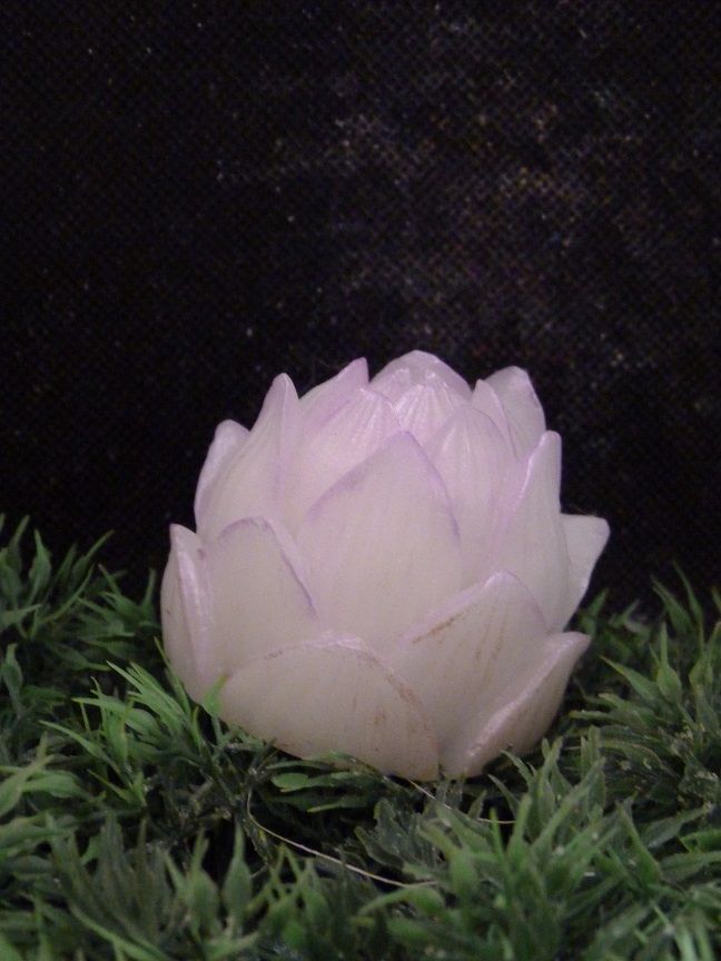 (image for) Dichte Lotus Zeepje met Mica