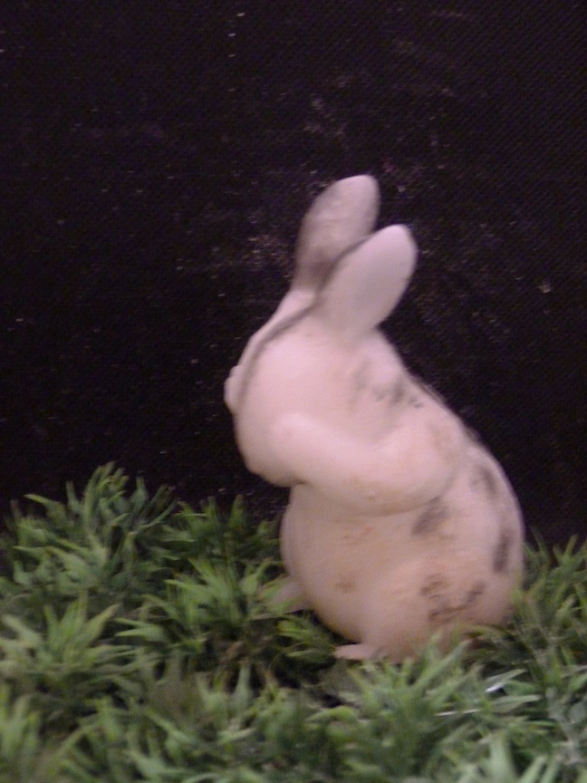 (image for) Konijn Zien Zeepje met Mica