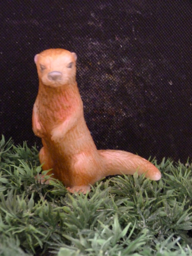 (image for) Otter Zeepje met Mica