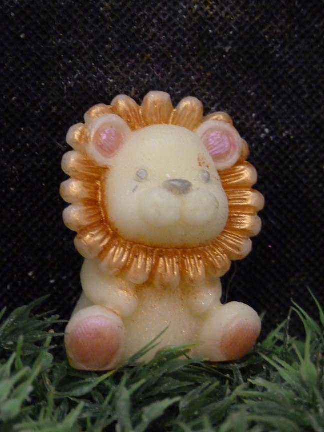 (image for) Leeuwtje Zeepje met Mica