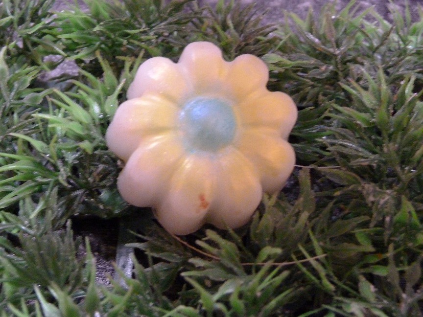 (image for) Zonnebloemetje Zeepje met Mica