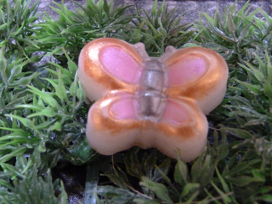 (image for) Cartoon Vlinder Zeepje met Mica