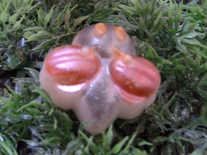 (image for) Vliegend Lieveheersbeestje Zeepje met Mica