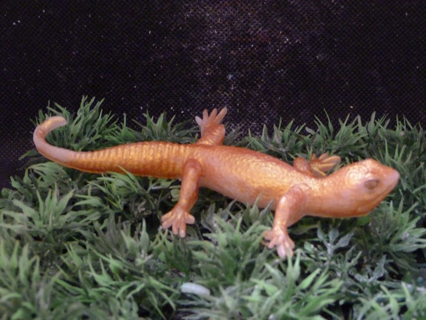 (image for) Gekko Zeepje met Mica