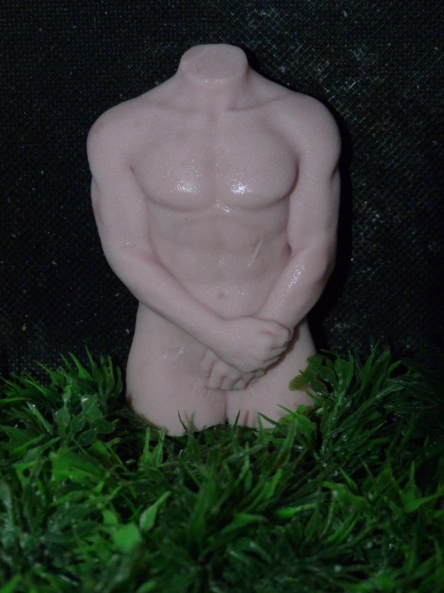 (image for) Mannentorso