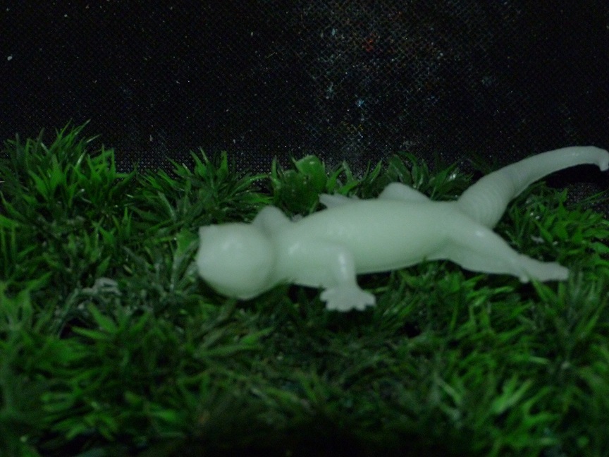 (image for) Gekko Zeepje