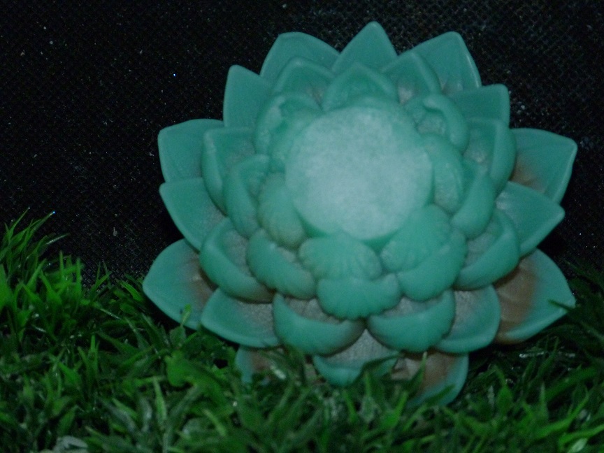 (image for) Open Lotus Zeepje