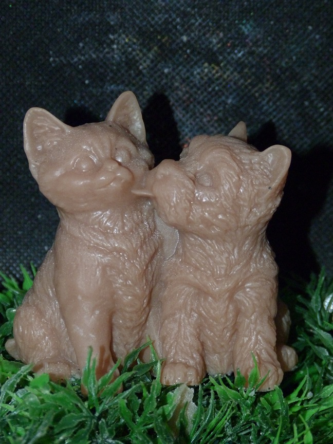 (image for) Hond en Kat Zeepje