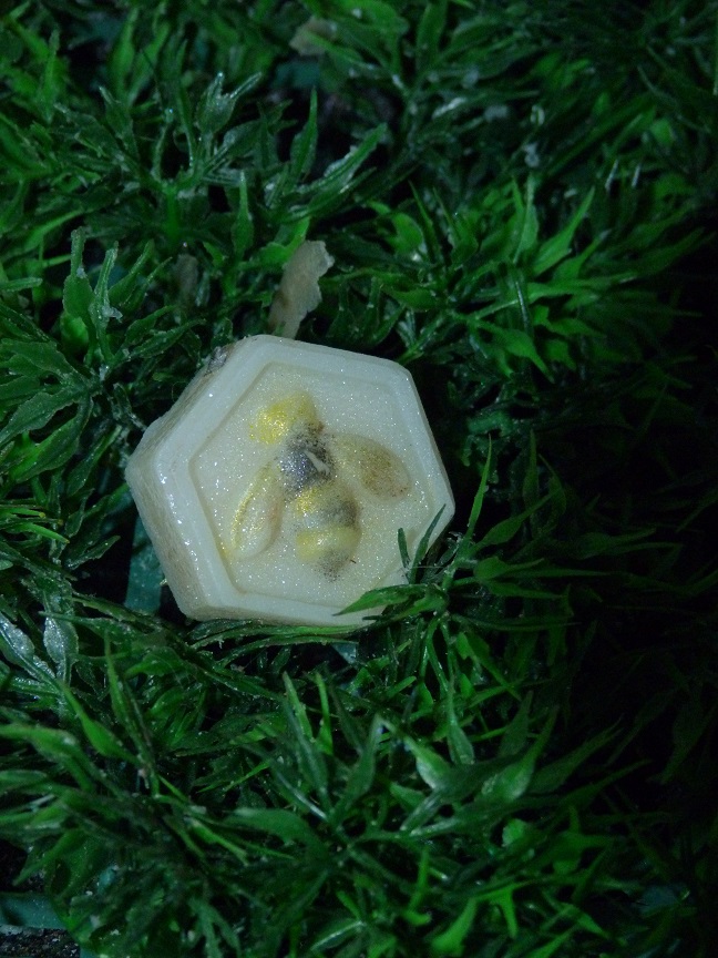 (image for) Honingraat met Bij Klein Zeepje met Mica