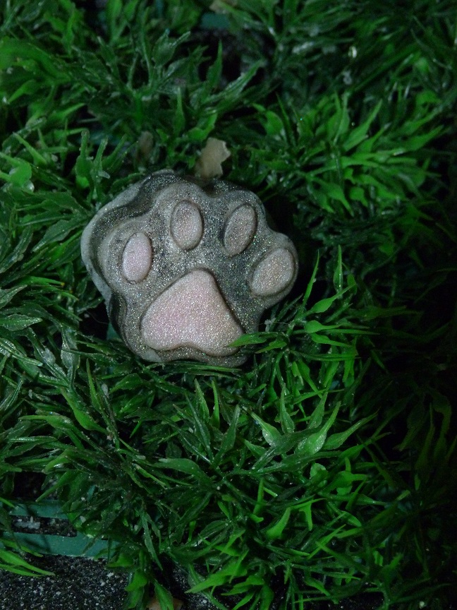 (image for) Poezenpootje Zeepje met Mica Klein