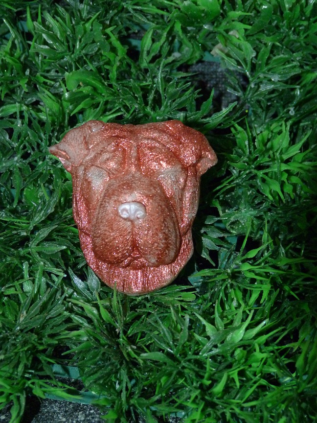 (image for) Shar-pei Zeepje met Mica Nr 2