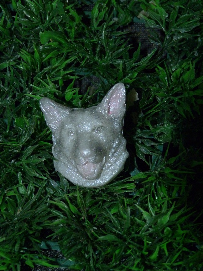 (image for) Bordercollie Zeepje met Mica