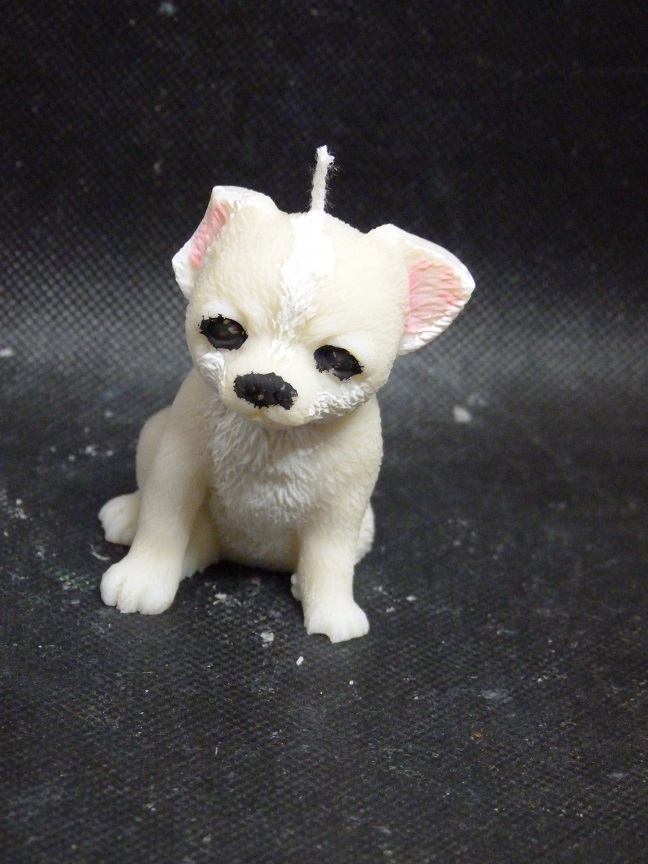 (image for) zittende chiwawa