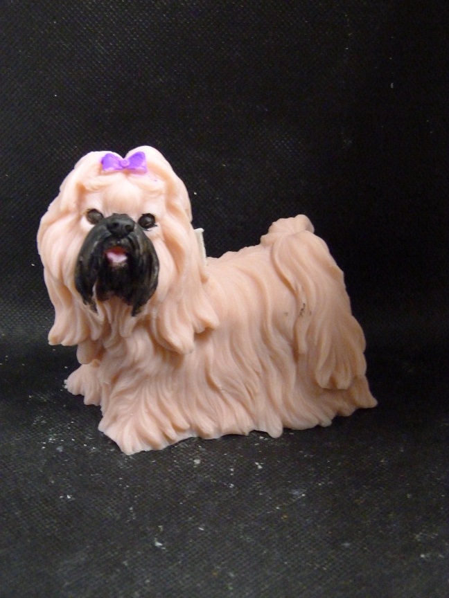 (image for) Shih Tzu Kaars