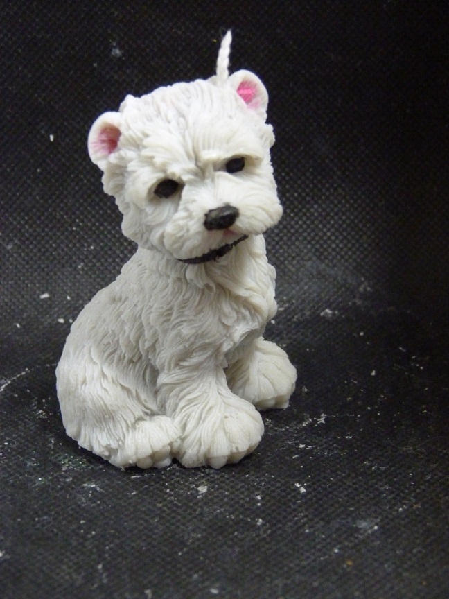 (image for) West Highland white terrier (Westey) Kaars
