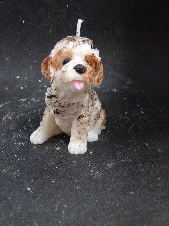 (image for) Labradoodle Kaars
