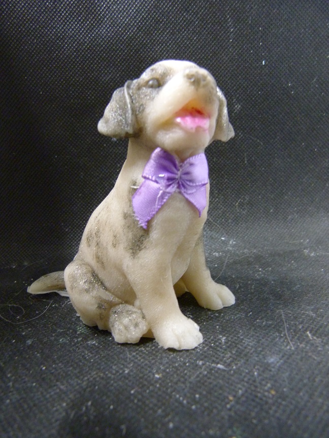 (image for) Labrador Zeepje met Mica
