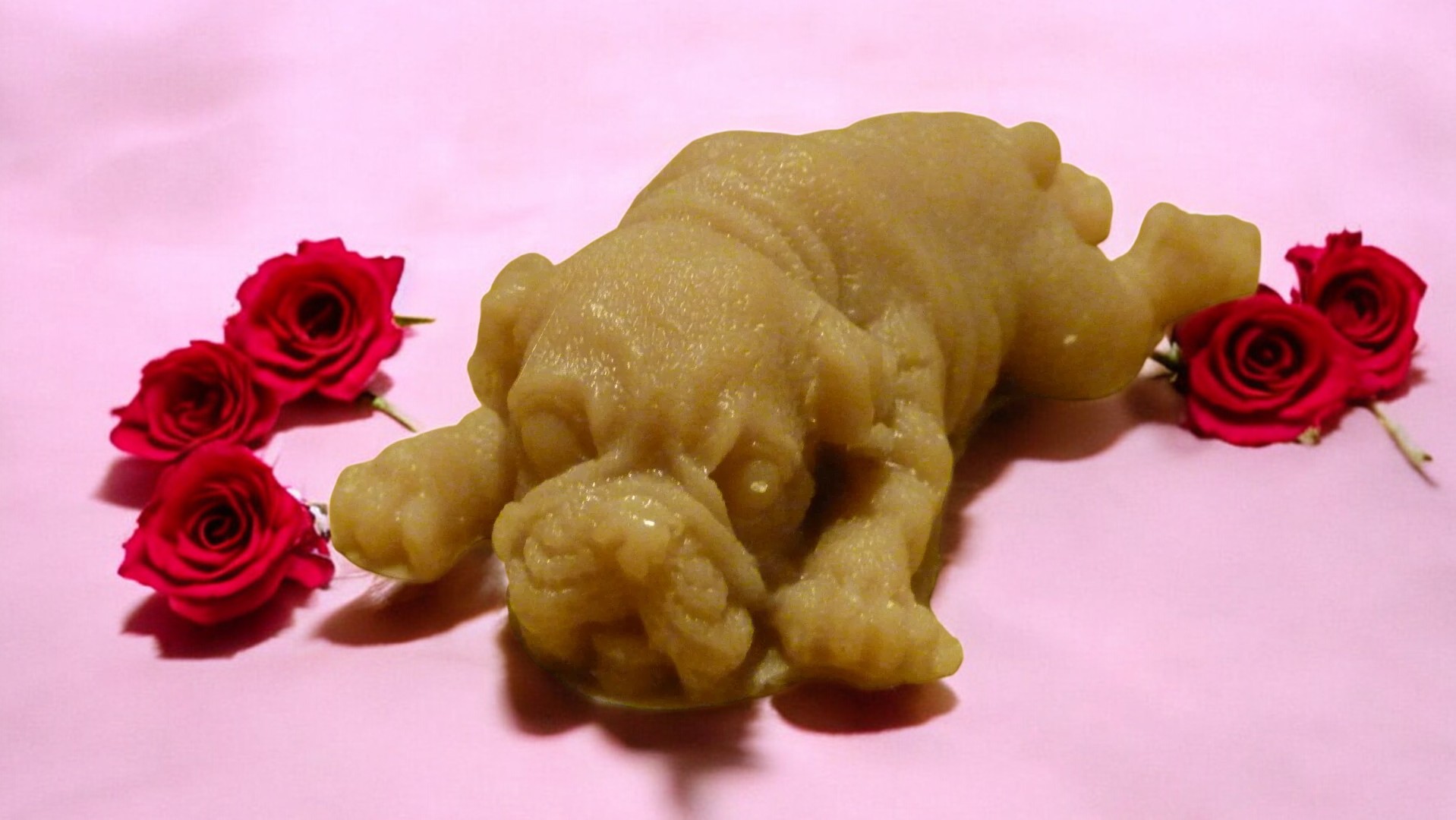 (image for) Shar-pei Zeepje Nr 1