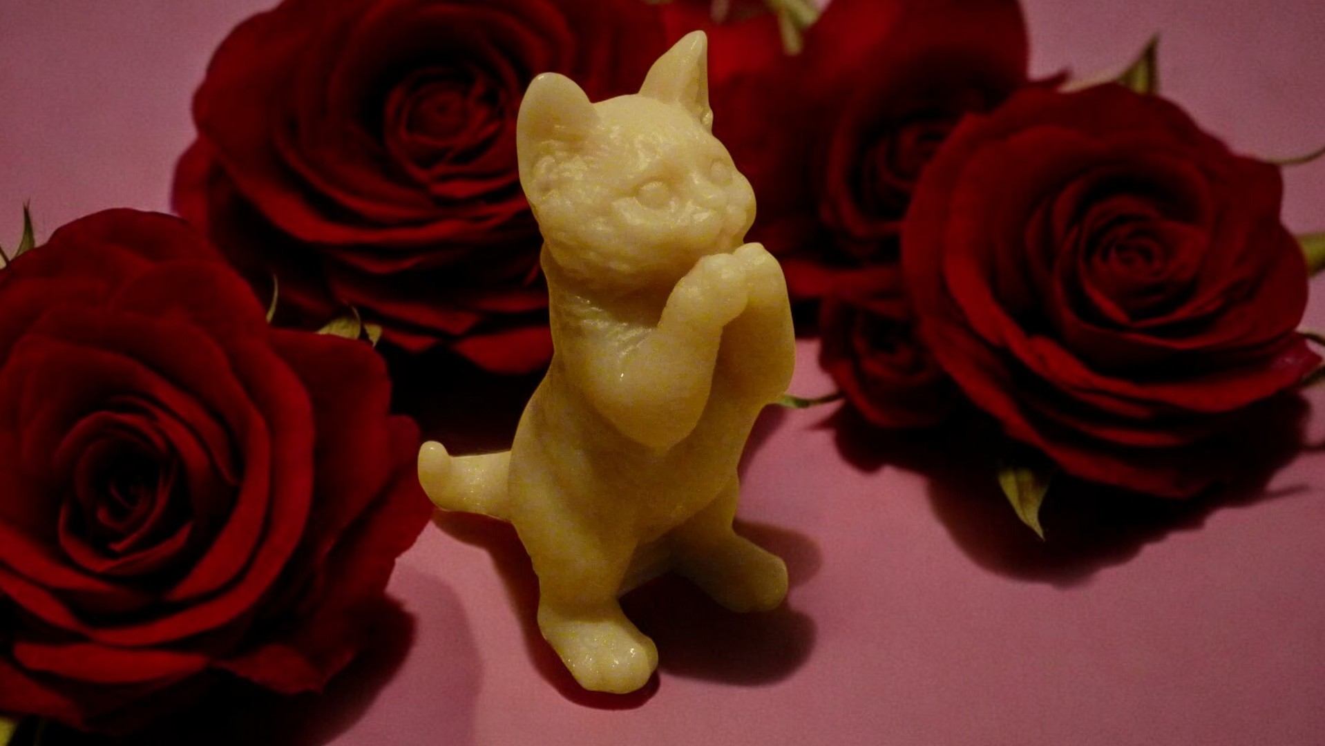 (image for) Bedelende Kat Zeepje