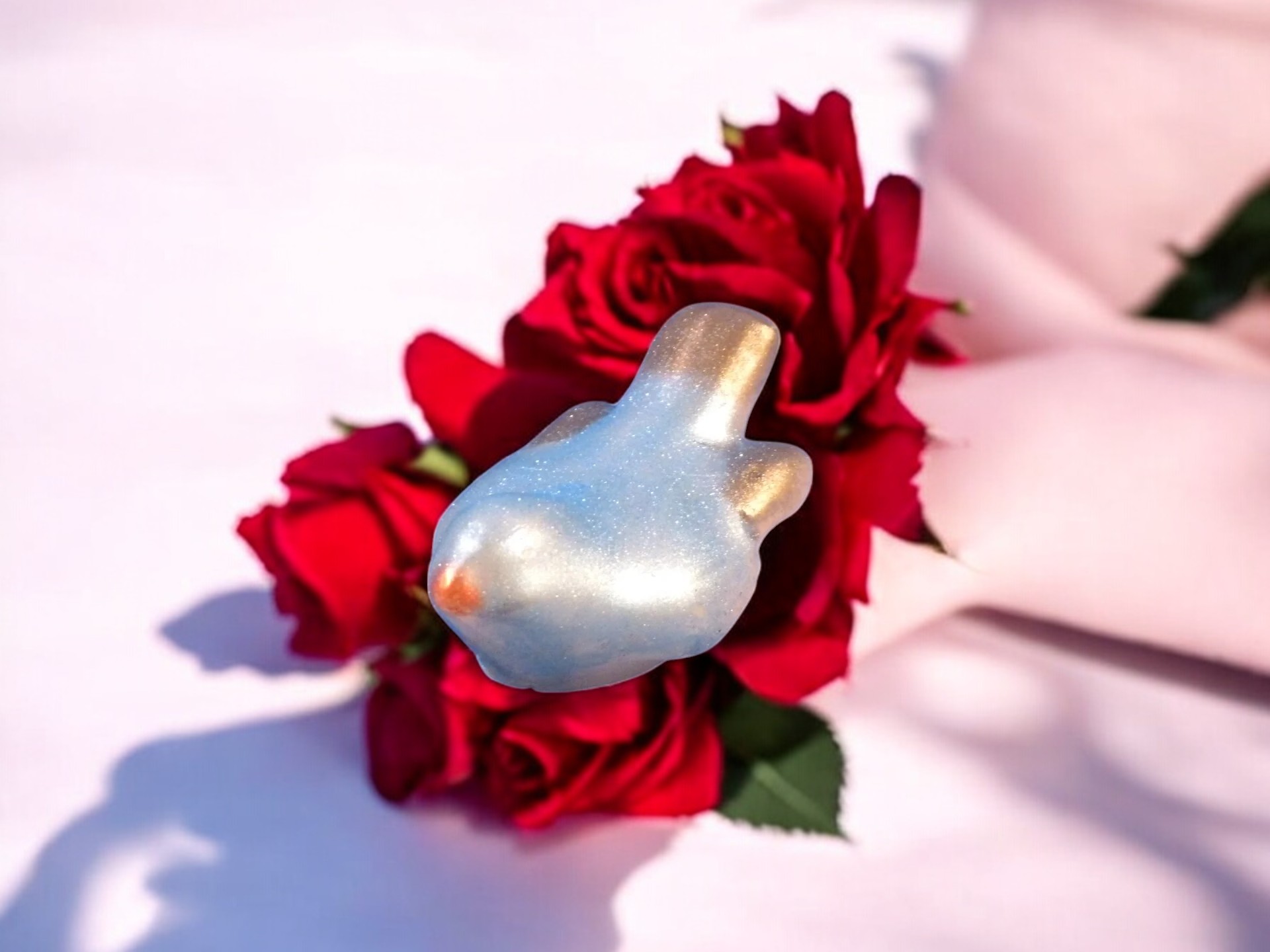 (image for) Vogeltje Zeepje met Mica